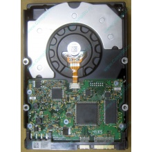 HDD Sun 500G 500Gb в Владикавказе, FRU 540-7889-01 в Владикавказе, BASE 390-0383-04 в Владикавказе, AssyID 0069FMT-1010 в Владикавказе, HUA7250SBSUN500G (Владикавказ)