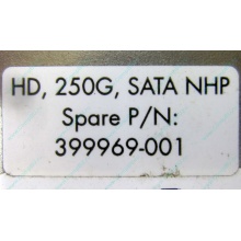 HP 250G 7.2k 432337-001/ 399699-001 / 397377-004 SATA HDD (Владикавказ)