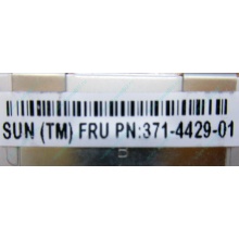 Серверная память SUN (FRU PN 371-4429-01) 4096Mb (4Gb) DDR3 ECC в Владикавказе, память для сервера SUN FRU P/N 371-4429-01 (Владикавказ)