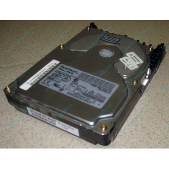 Жесткий диск 18.4Gb Quantum Atlas 10K III U160 SCSI (Владикавказ)