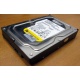 Жесткий диск 160Gb WD WD1602ABKS SATA (Владикавказ)
