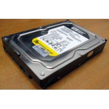 Жесткий диск 160Gb WD WD1602ABKS SATA (Владикавказ)