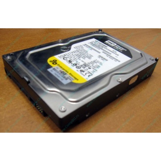 Жесткий диск 160Gb WD WD1602ABKS SATA (Владикавказ)