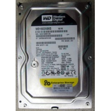 Жесткий диск 160Gb WD WD1602ABKS SATA (Владикавказ)