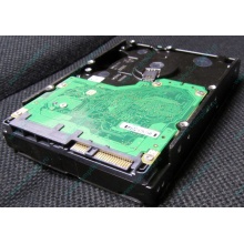 Жесткий диск 600Gb 15k Dell 9FN066-008 6G SAS ( Seagate Cheetach ST3600057SS 15K.7) - Владикавказ