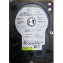 Б/У жёсткий диск 400Gb WD WD4000YR Caviar RE2 7200 rpm SATA  (Владикавказ)