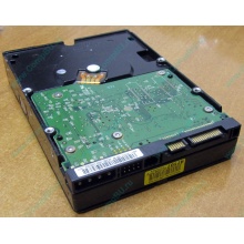 Б/У жёсткий диск 400Gb WD WD4000YR Caviar RE2 7200 rpm SATA  (Владикавказ)