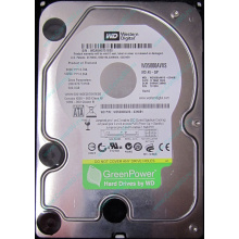 Жесткий диск 500Gb Western Digital WD5000AVVS 5400 rpm SATA (Владикавказ)