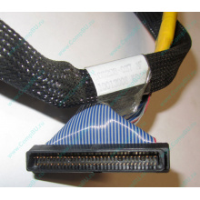 Кабель SCSI HP 166298-037 для HP ML370 G4 (Владикавказ)