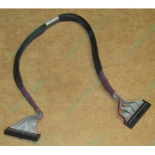 FDD-кабель HP 271946-006 для ML370 (Владикавказ)