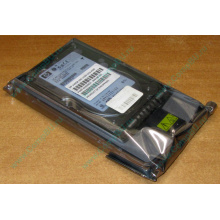 Жёсткий диск 146.8Gb HP 365695-008 404708-001 BD14689BB9 256716-B22 MAW3147NC 10000 rpm Ultra320 Wide SCSI купить в Владикавказе, цена (Владикавказ).