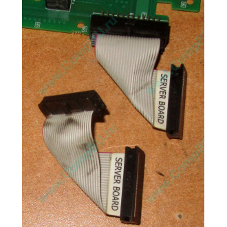 6017B0045701 Шлейф 24 pin для Intel C74974-401 T0043401-B01 корпуса SR2400 (Владикавказ)