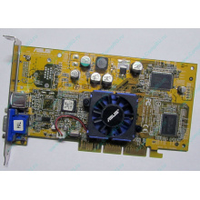 Видеокарта Asus V8170 64Mb nVidia GeForce4 MX440 AGP Asus V8170DDR (Владикавказ)