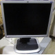 Монитор 19" HP L1950g KR145A 5:4 (Владикавказ)