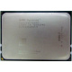 AMD Opteron 6128 OS6128WKT8EGO (Владикавказ)