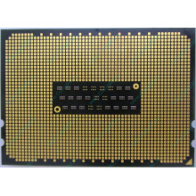 AMD Opteron 6128 OS6128WKT8EGO (Владикавказ)