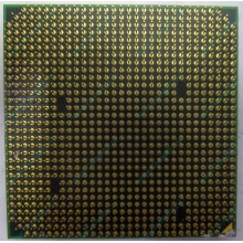 Процессор AMD Athlon 64300+ (1.8GHz) ADA3000IAA4CN s.AM2 (Владикавказ)