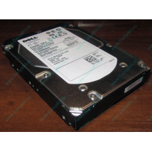 Жесткий диск 300Gb 15k Dell 9CH066-050 6G SAS (Seagate Cheetach ST3300656SS 15K.6) - Владикавказ
